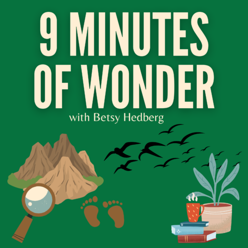 9 Minutes of Wonder podcast